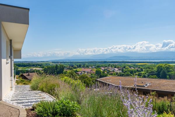 Grilly (01220) Maison de prestige avec vue panoramique