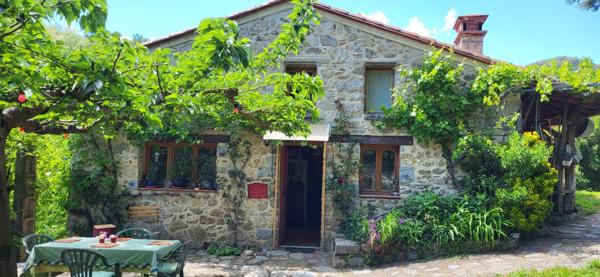 2 mas catalans avec gites