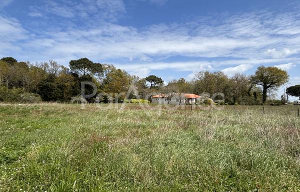 Terrain constructible 443 m2 Environnement calme et boisé