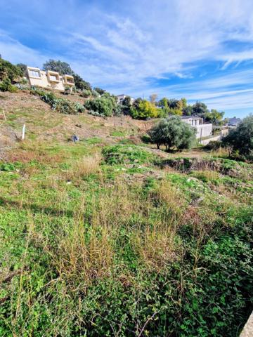 Terrain à vendre de 1 145,00 m² BASTIA AGLIANI(20)
