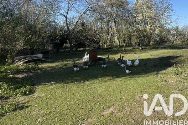 Terrain à vendre 2 294 m² Ennevelin