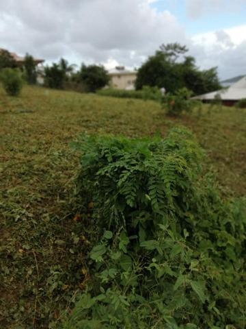 Achat terrain Le François - 1000 m² - 180 000 €