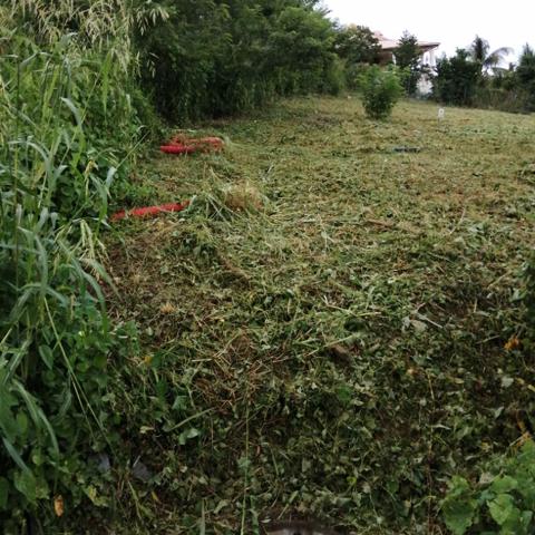 Achat terrain Le François - 1000 m² - 180 000 €