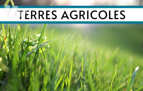 Terrain agricole