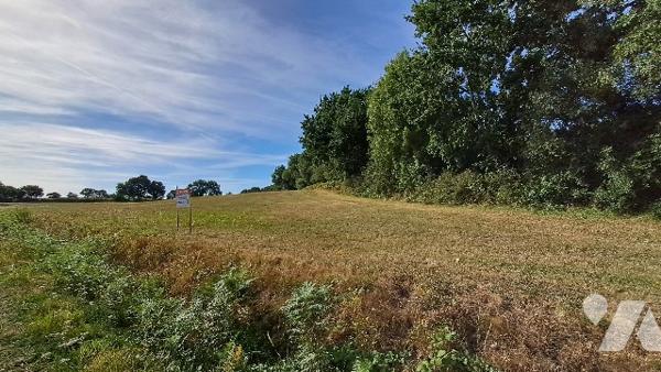 Terrain agricole
