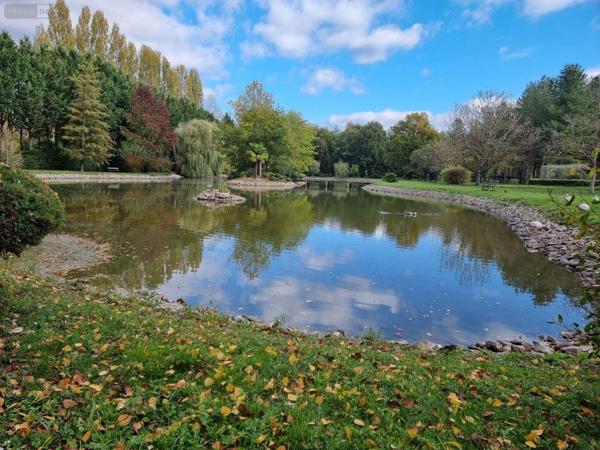Propriété d'agrément à vendre à Gy-en-Sologne dans le Loir-et-Cher (41230), ref : 41036/3122 Campagne