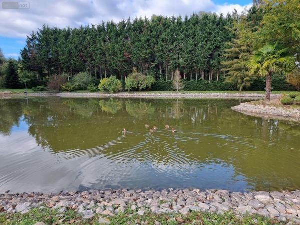 Propriété d'agrément à vendre à Gy-en-Sologne dans le Loir-et-Cher (41230), ref : 41036/3122 Campagne