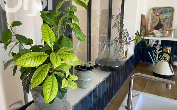 Maison à vendre    4 pièces •  Saint-Pierre-d'Oléron