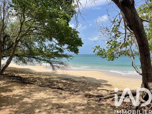 Appartement à vendre 2 pièces 45 m² Sainte-Anne