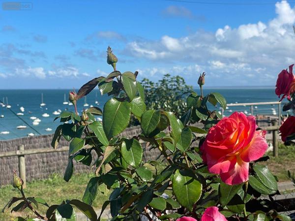 Maison à vendre à Cancale en Ille-et-Vilaine (35260), ref : 240   
port mer