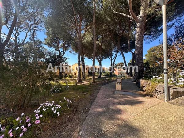 Vente Appartement 2 pièces 25 m2 à Cap d'Agde