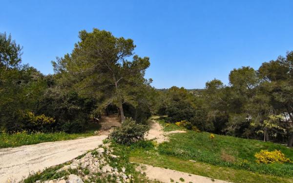 Terrain à vendre