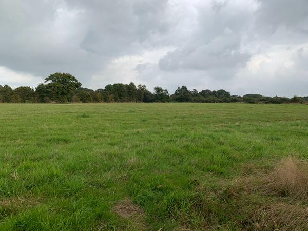 Terrain Saint Brevin Les Pins 871 m2