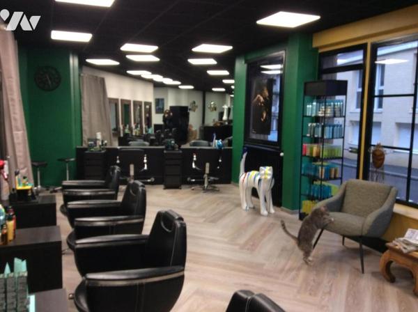 FONDS DE COMMERCE DE COIFFURE