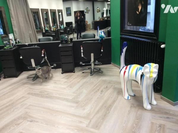 FONDS DE COMMERCE DE COIFFURE