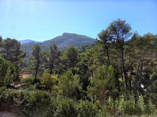 Propriété avec piscine et espace boisé