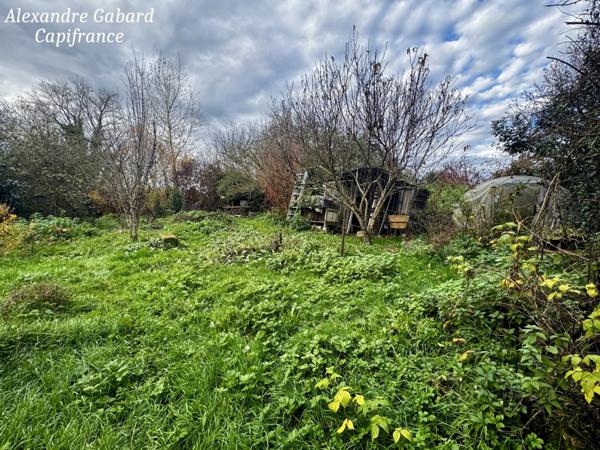 Maison en pierres - 3 chambres - Jardin 2 471 m² - Dépendance