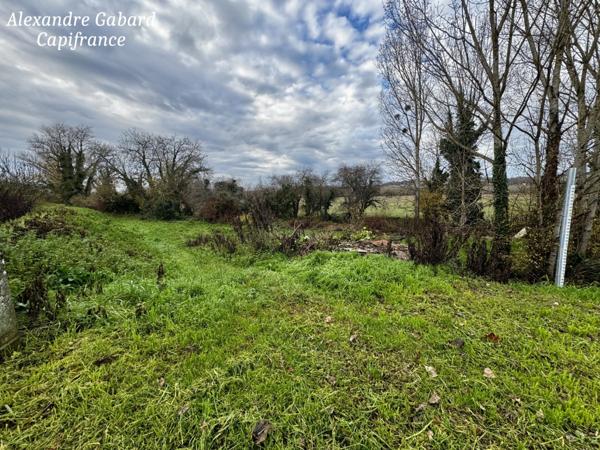 Maison en pierres - 3 chambres - Jardin 2 471 m² - Dépendance