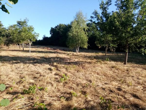 Vente terrain constructible Sanxay, 2160m² 29 990€ Vienne Poitou-charentes