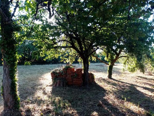 Vente terrain constructible Sanxay, 2160m² 29 990€ Vienne Poitou-charentes