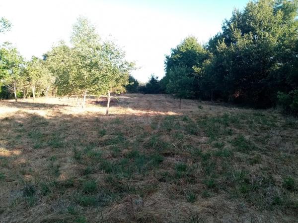 Vente terrain constructible Sanxay, 2160m² 29 990€ Vienne Poitou-charentes