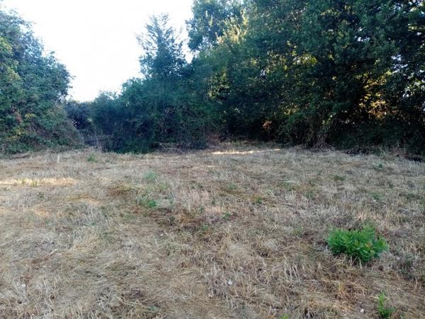 Vente terrain constructible Sanxay, 2160m² 29 990€ Vienne Poitou-charentes