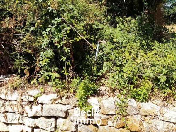 Vente terrain constructible Sanxay, 25 990€ Vienne Poitou-charentes N°