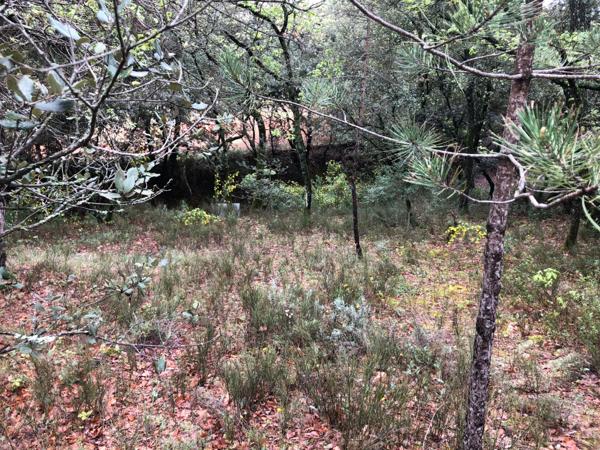 Terrain à vendre SAINT SATURNIN LES APT (84)