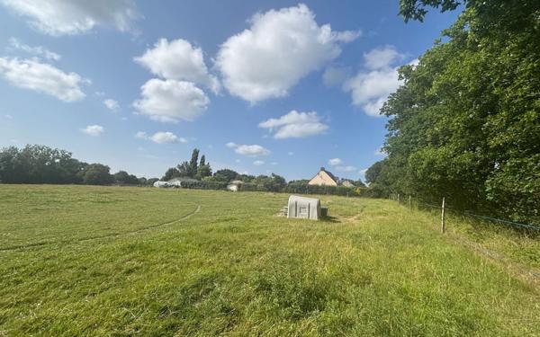 Terrain à vendre    Herbignac