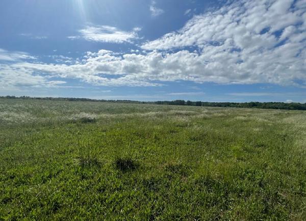 Terrain à vendre    Meschers-sur-Gironde