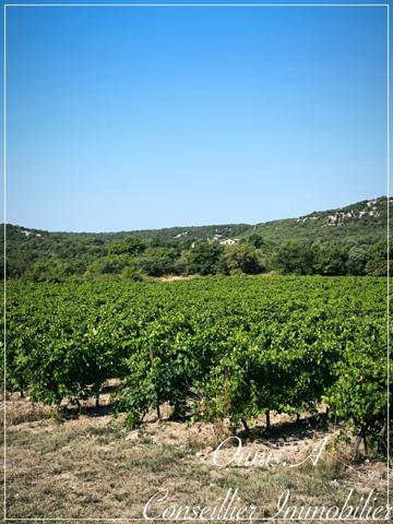 Maison sur exploitation agricole