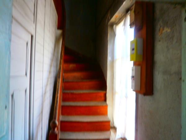 MAISON 3 PIECES + GARAGE + JARDIN + PUITS Issoudun (36100)