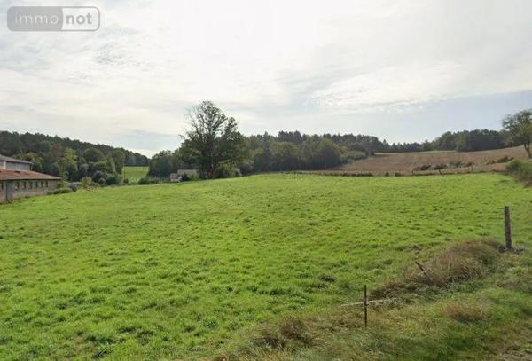 Achat - Terrain à bâtir | Terrain à bâtir Pouxeux 88550 1200 m 2 2580 m 2