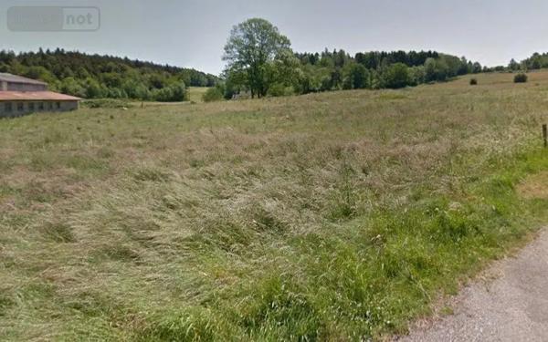 Achat - Terrain à bâtir | Terrain à bâtir Pouxeux 88550 1200 m 2 2580 m 2
