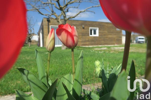 Maison à vendre 5 pièces 109 m² Sèvres-Anxaumont