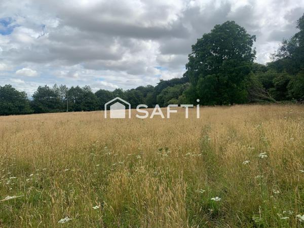 Havre de paix au bout d’un chemin privée à Tanville