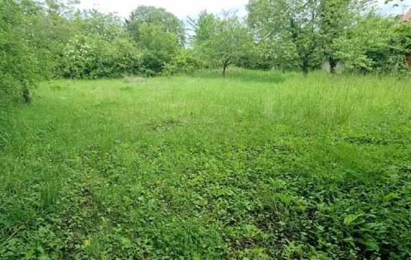 Vente Maison Champigny