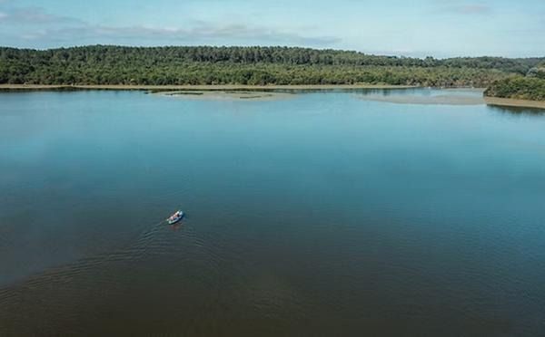 CONTEMPORAINE, 5 CHAMBRES A 15 MINUTES DE L'OCEAN