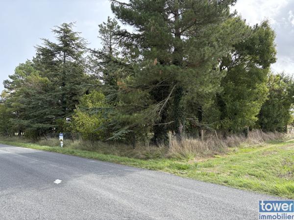 À vendre : Terrain de loisir à Semussac (17120) - Charente-Maritime