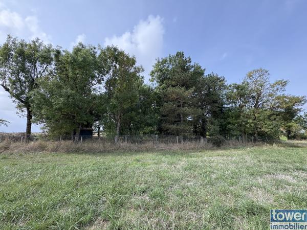 À vendre : Terrain de loisir à Semussac (17120) - Charente-Maritime