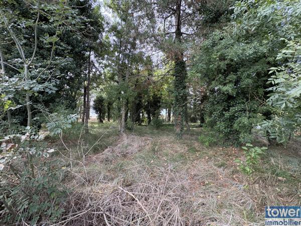 À vendre : Terrain de loisir à Semussac (17120) - Charente-Maritime