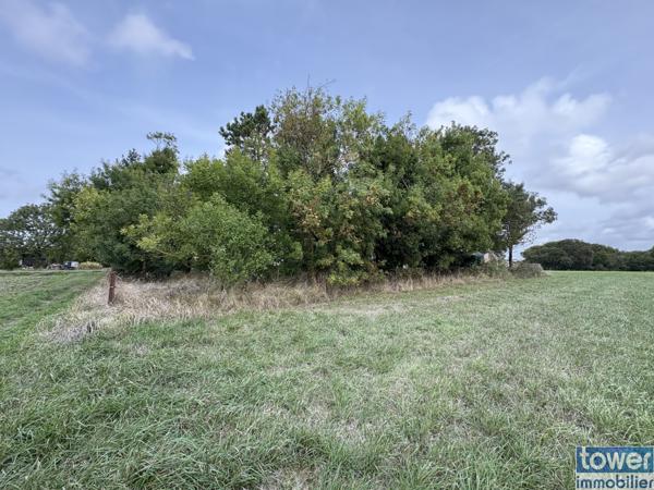 À vendre : Terrain de loisir à Semussac (17120) - Charente-Maritime