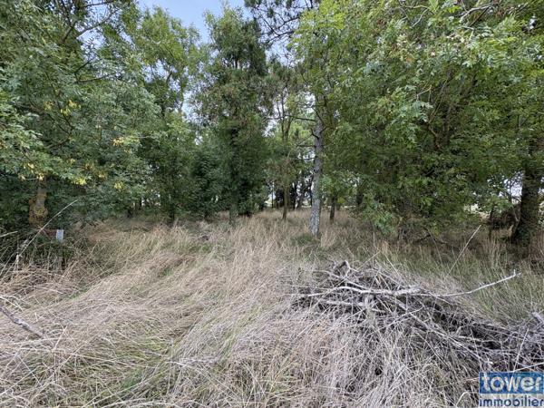 À vendre : Terrain de loisir à Semussac (17120) - Charente-Maritime