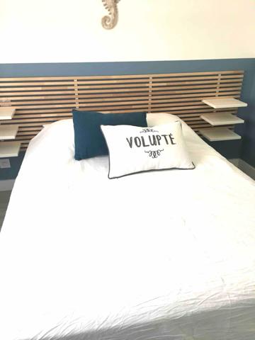 Mauguio (34130) Carnon Maison T3 44m2, 2eme ligne plage