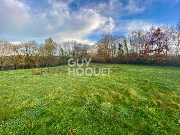 Terrain à Mervent 1942 m2