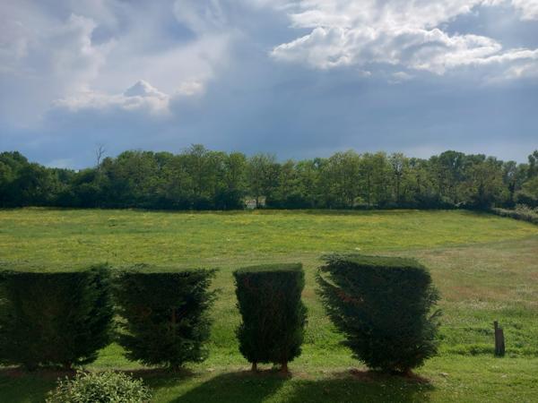 Appartement 4 pièces - 69 m² Exclusivité efficity