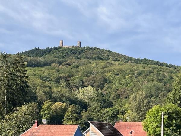 Barr (67140) BARR - MAISON 272 m² - 585.000 € FAI