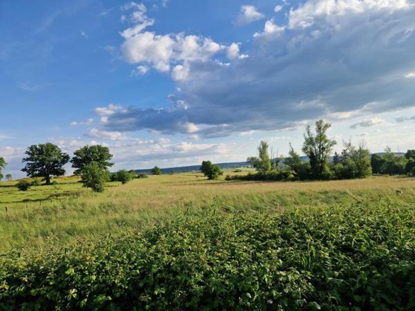 Magnifique maison et grange aménagée sur 5000M2