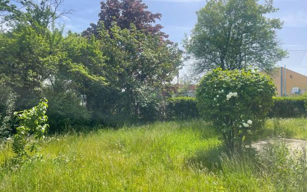 Maison à louer    3 pièces •  Fessenheim