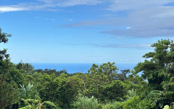 Maison à louer    4 pièces •  Saint-Claude